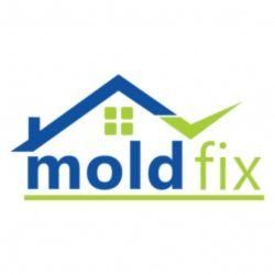 Mold Fix