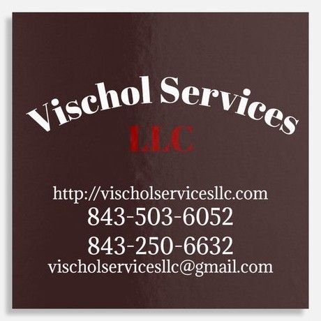 Vischol Services