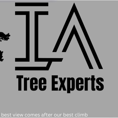 Avatar for I.A Tree Experts