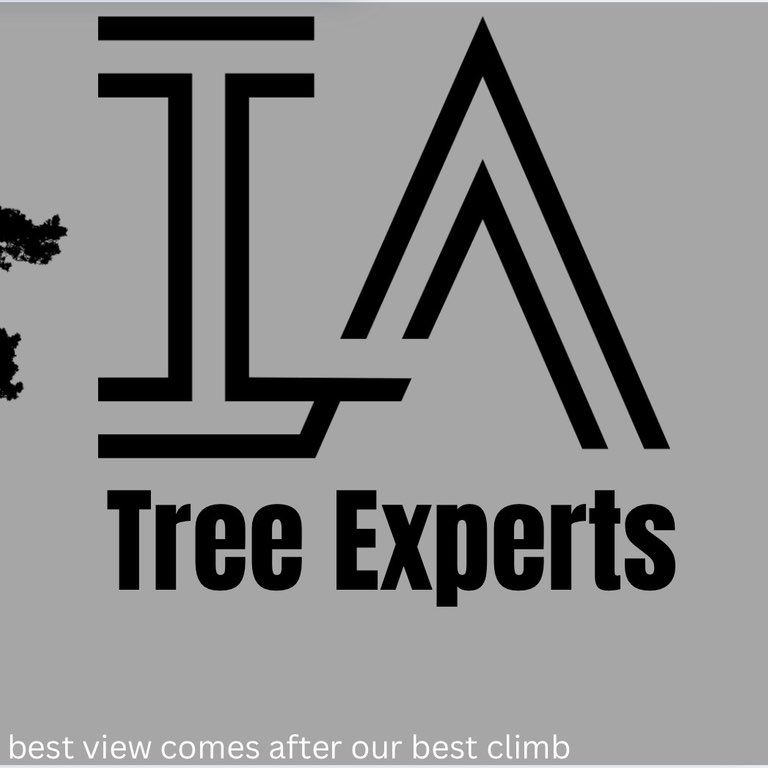 I.A Tree Experts