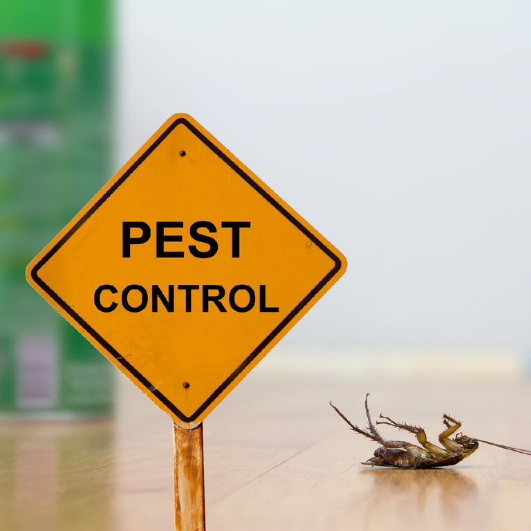 Westchase Pest Control