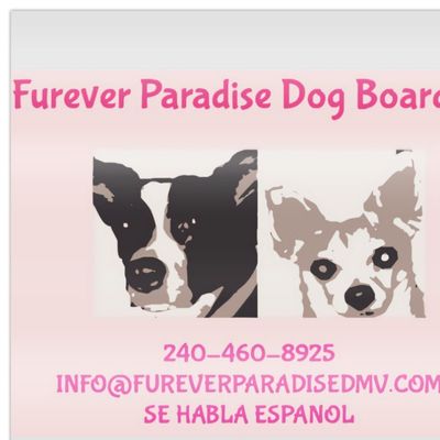 Avatar for Furever Paradise Dog Boarding