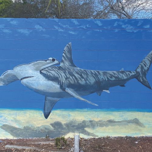 Hammerhead Shark mural - Lakeland, Florida