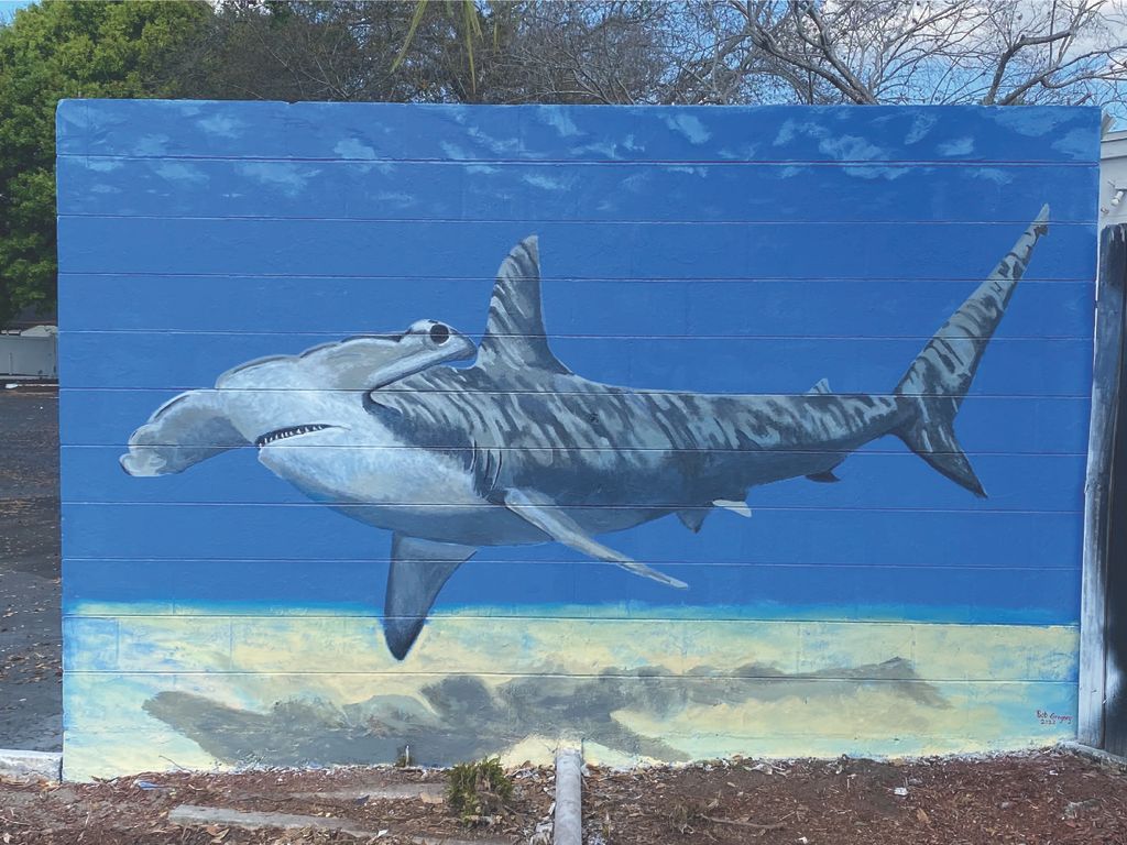 Hammerhead Shark mural - Lakeland, Florida