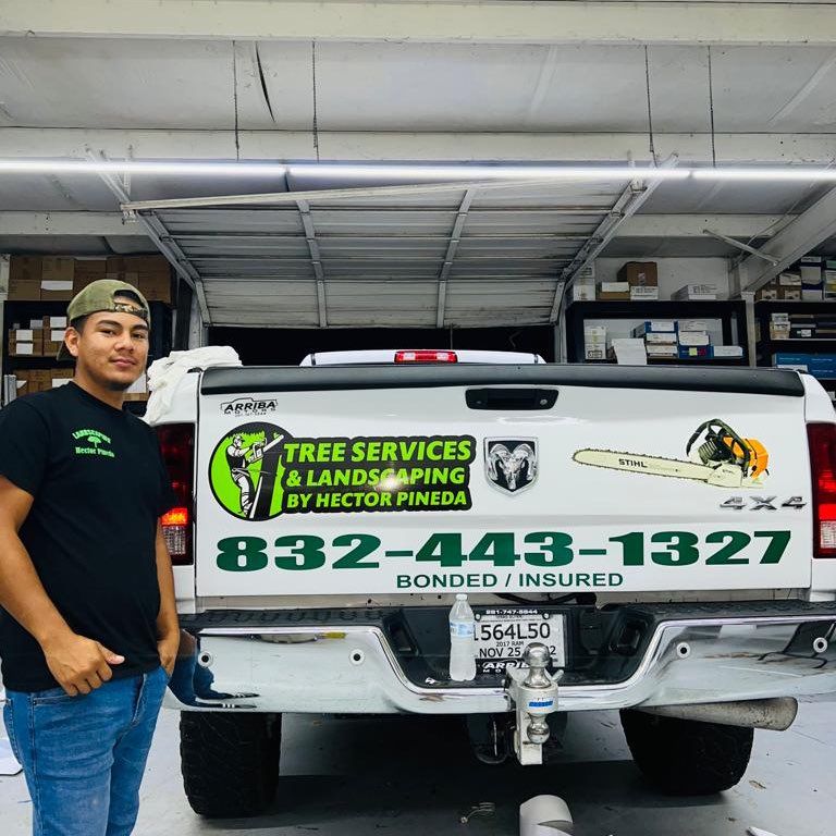 Héctor trees service Texas