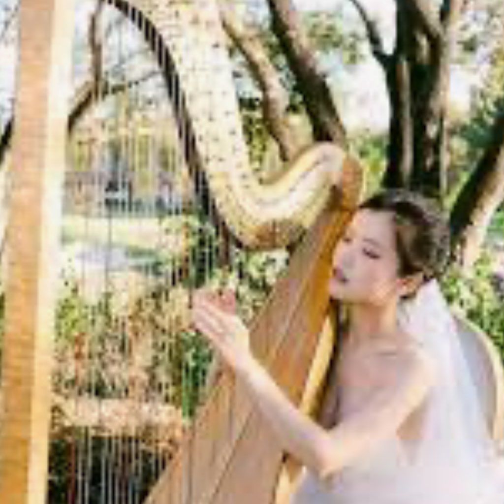 Angel Wedding Event Music -Harp, Piano, Zither