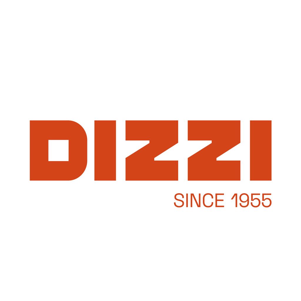 DIZZI GROUP - General Contractor New York State