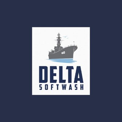 Avatar for Delta Softwash