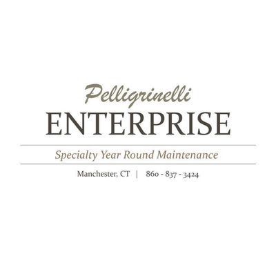 Avatar for Pelligrinelli Enterprise