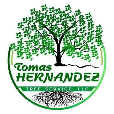 Avatar for Tomas Hernandez Tree Services