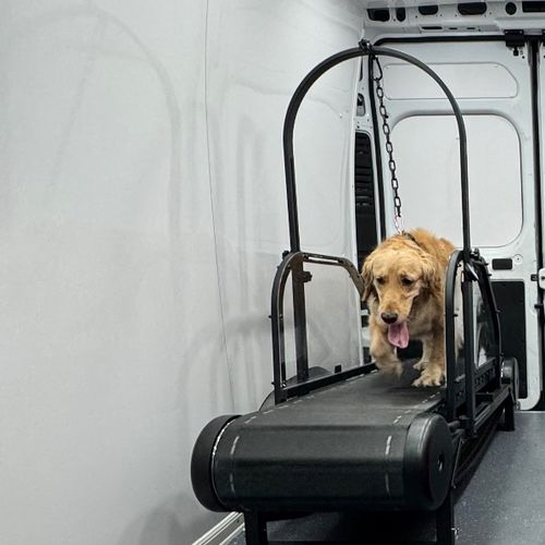 Petvibe Mobile Dog Gym is an incredible service th