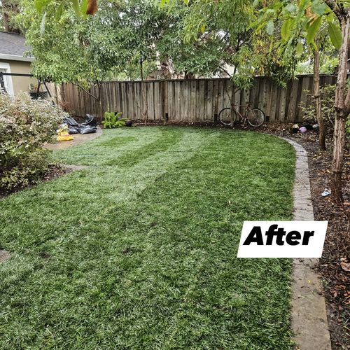 Sod Installation