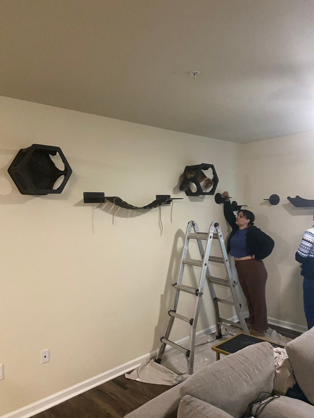 Projects and media
