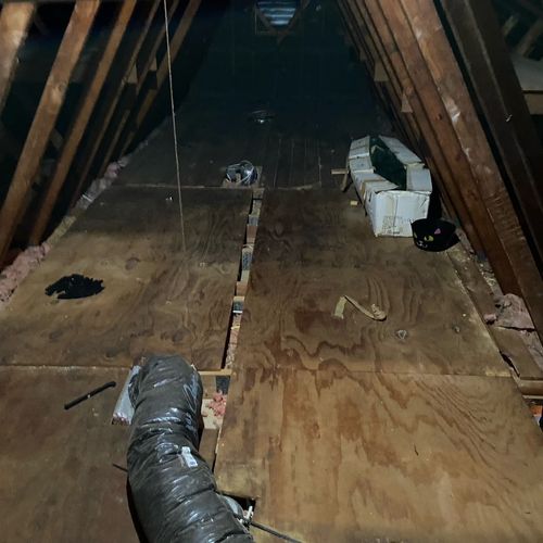 MICE INFESTING UNDER FLOOR BOARD IN THE ATTIC