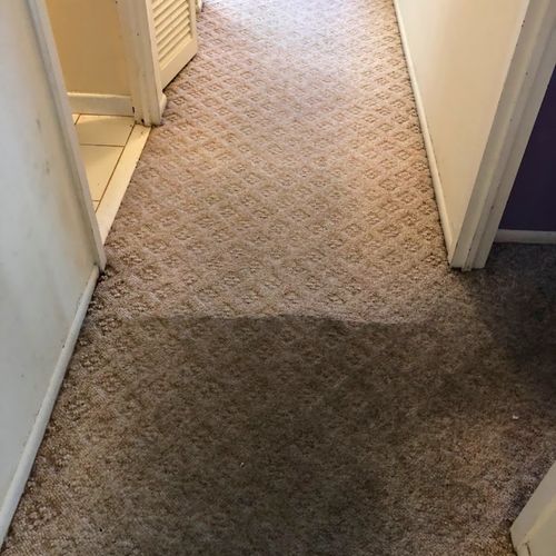 Carpet Cleaning