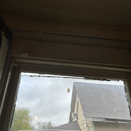 Window Repair