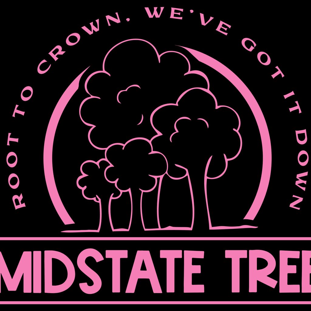 Midstate Tree (NJTC#939369)