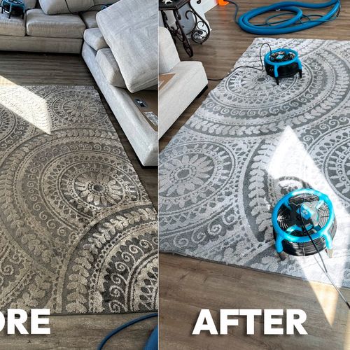 Don't overlook your rugs.