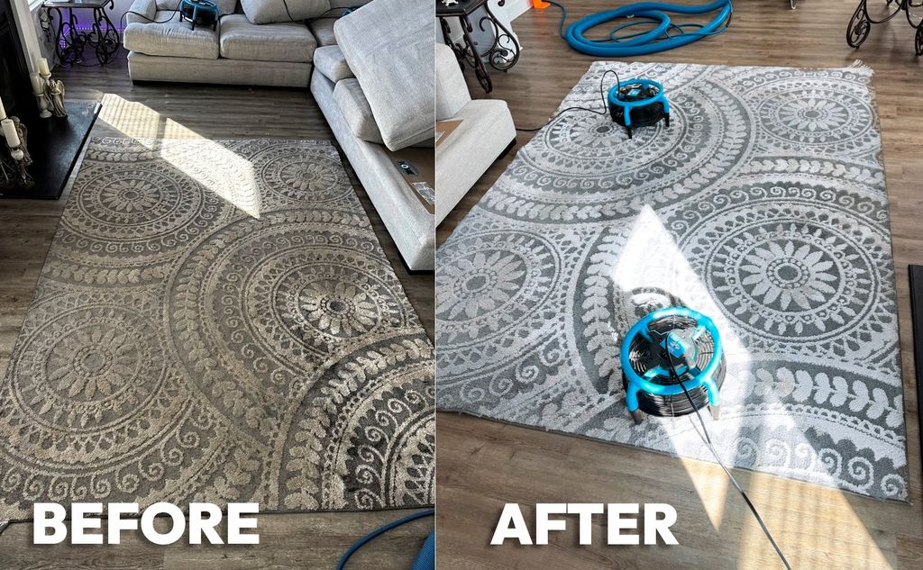 Don't overlook your rugs.