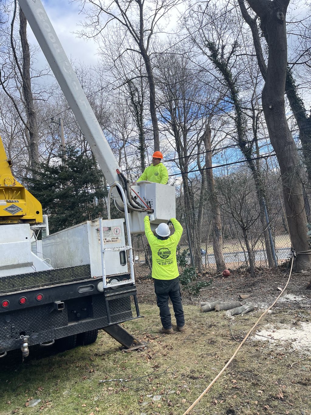 Tree Trimming and Removal