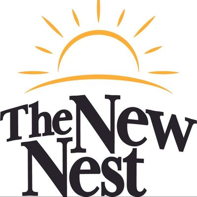 Avatar for The New Nest