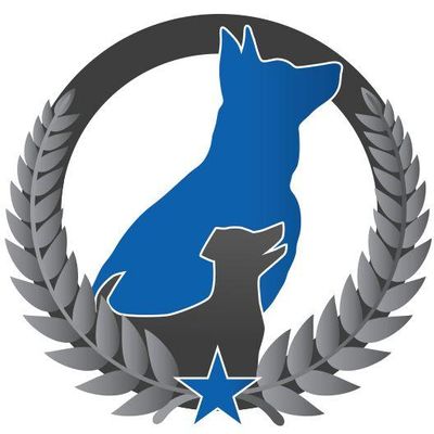 Avatar for Dog Training Elite Carmel / Fishers