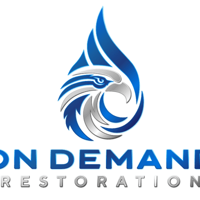 Avatar for On demand Restoration