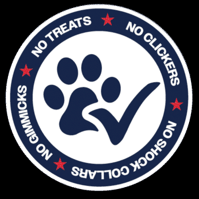 Avatar for Always Faithful Dog Training of Northern IL