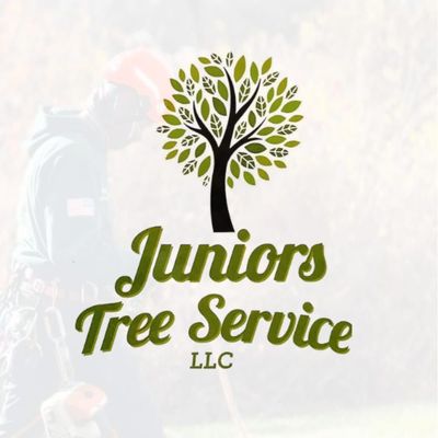 Avatar for Junior Tree Service LLC