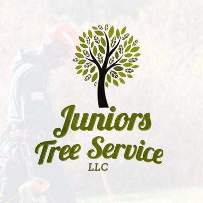 Avatar for Junior Tree Service LLC