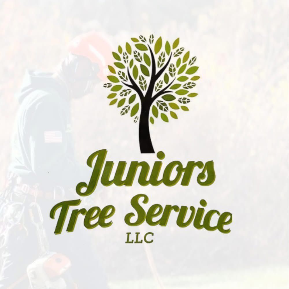 Junior Tree Service LLC