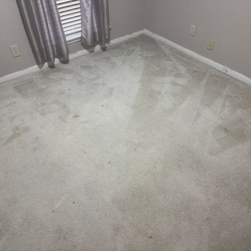 Carpet Cleaning