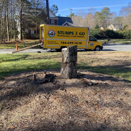 Tree Stump Grinding and Removal