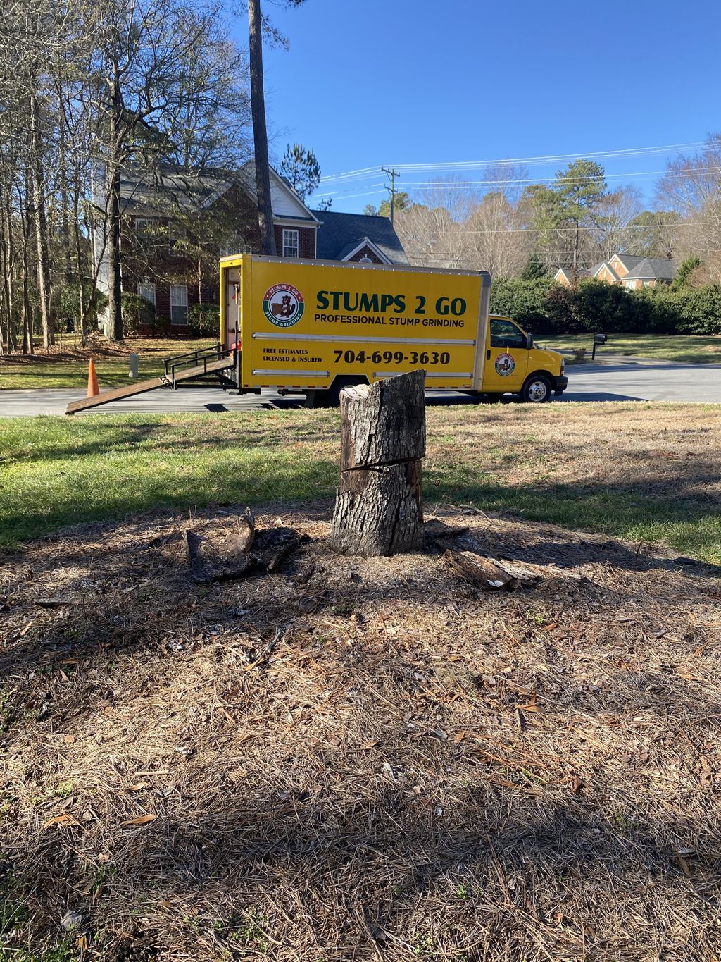 Tree Stump Grinding and Removal