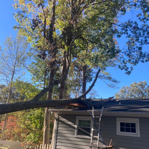 Cleaning up after hurricane Helene, 