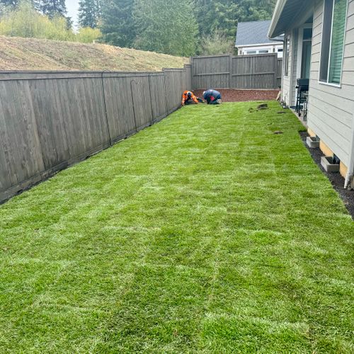 Sod Installation