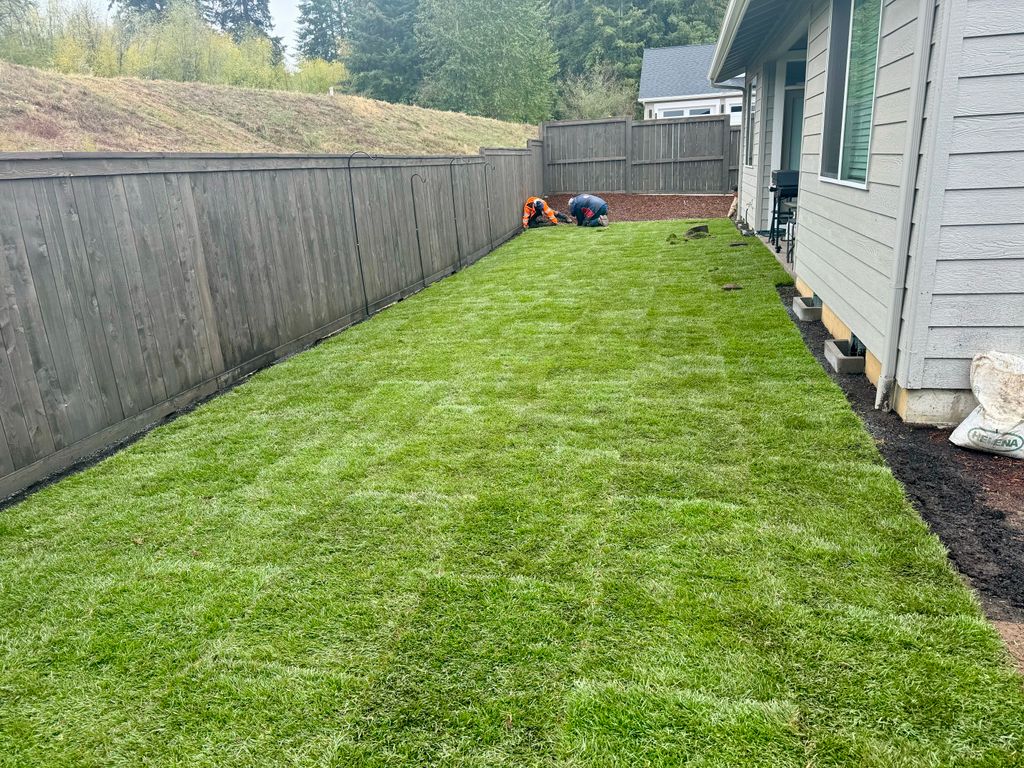 Sod Installation