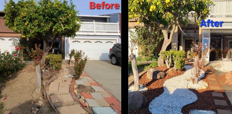 Customer photos