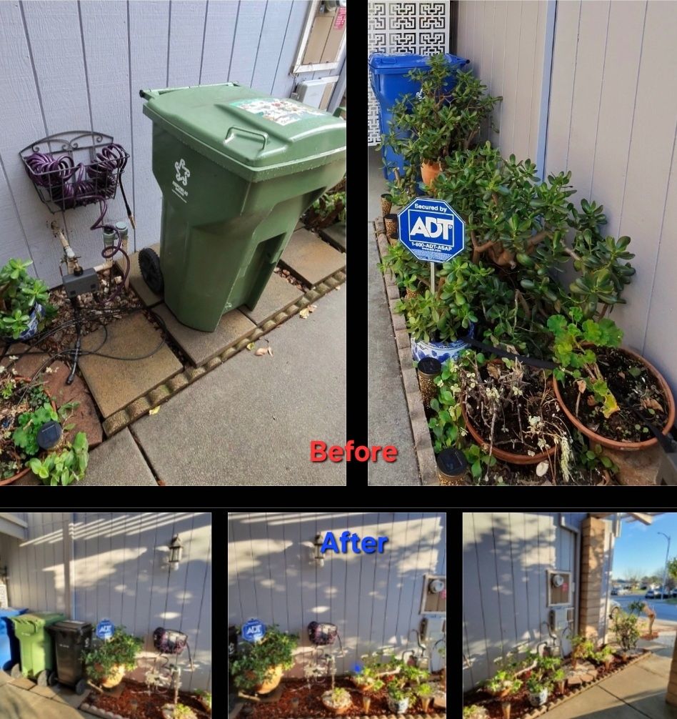Customer photos