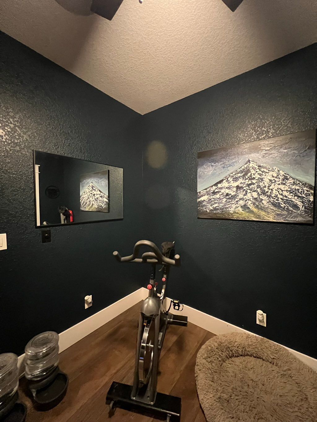 interior paint, baseboards, mirror and picture han