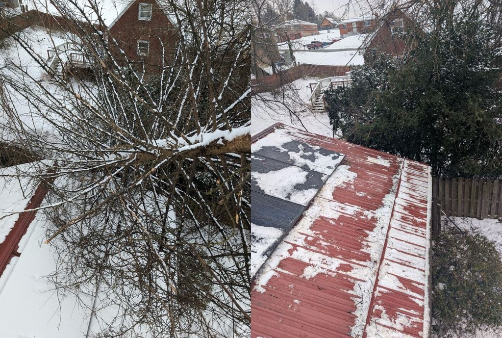 emergency storm removal before/after