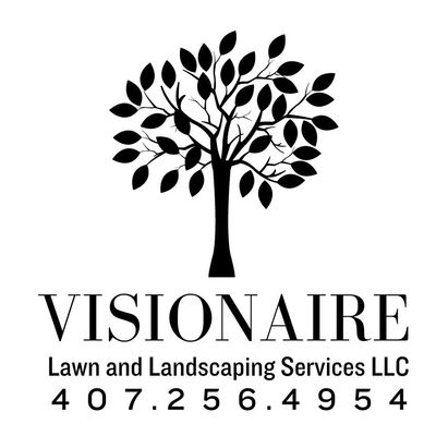 Avatar for Visionaire lawn and landscaping service