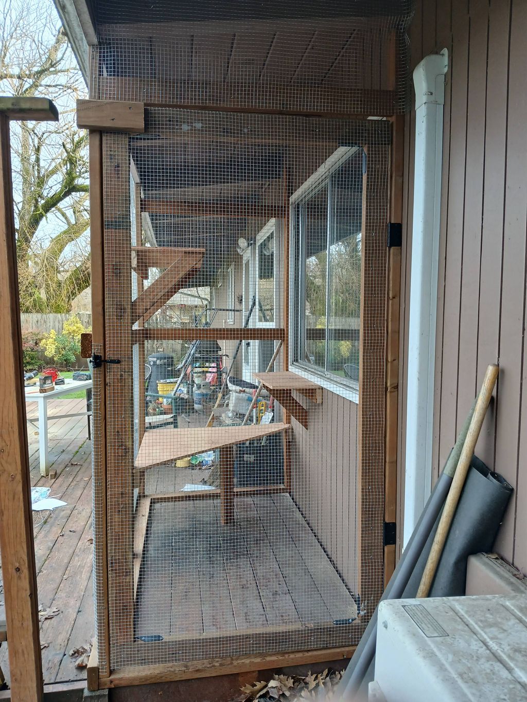 Catio!