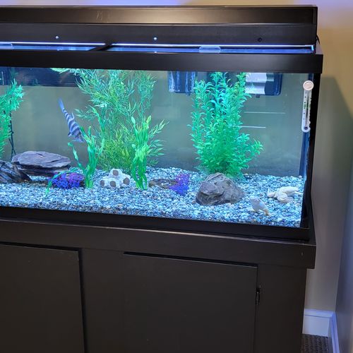 Aquarium Services