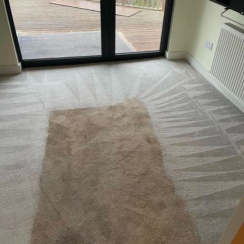 Carpet Cleaning