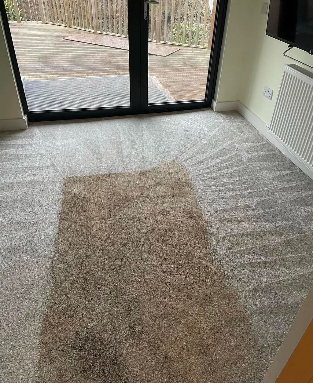 Carpet Cleaning