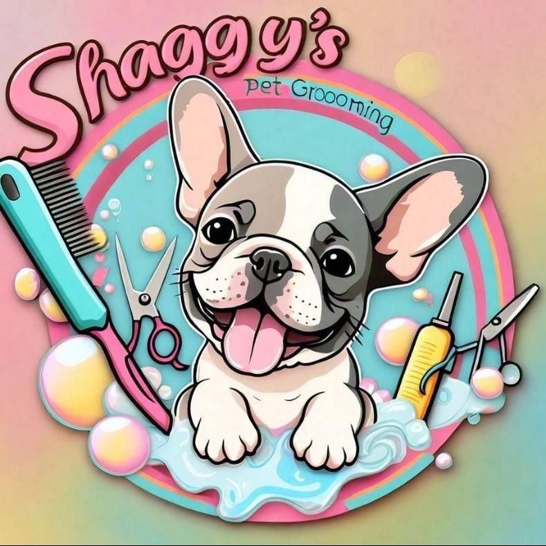 Shaggy's Pet Grooming dogs and cats