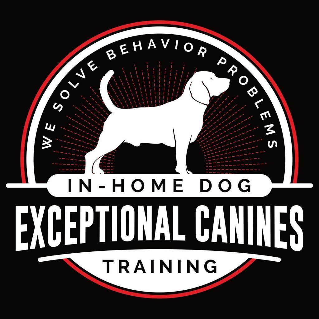 Exceptional Canines In-Home Dog Training