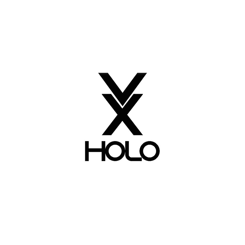 VX Holo Holographic Displays