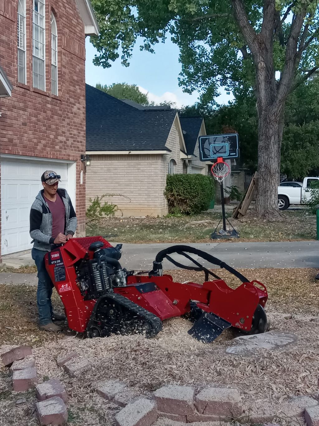 Tree Stump Grinding and Removal